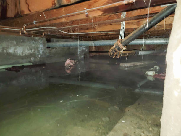 Best Water damage restoration experts  in Brodheadsville, PA