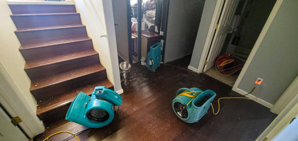 Best Residential water damage restoration  in Brodheadsville, PA
