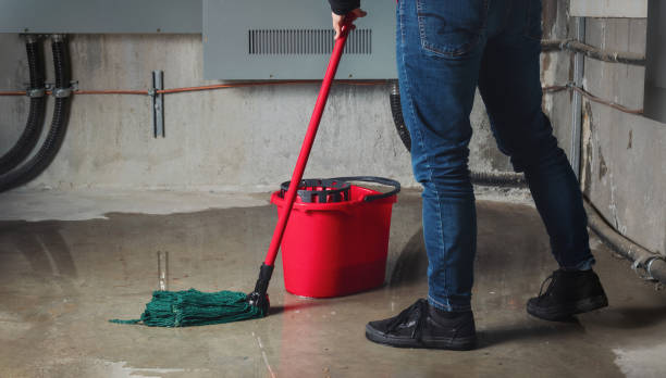Best Basement water damage restoration  in Brodheadsville, PA