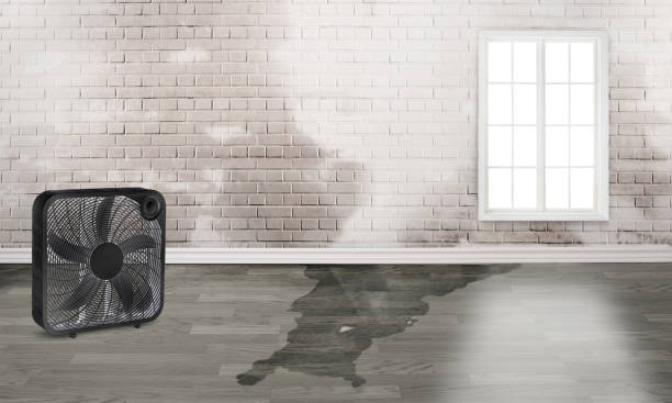 Best Emergency water damage restoration  in Brodheadsville, PA