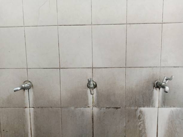 Best Local water damage restoration  in Brodheadsville, PA