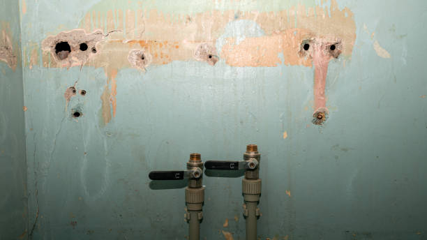 Best Water damage restoration near me  in Brodheadsville, PA