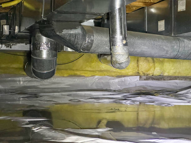 Best Water damage cleanup near me  in Brodheadsville, PA