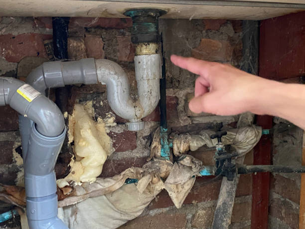 Best Flood damage cleanup  in Brodheadsville, PA