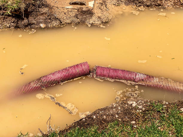 Best 24/7 water damage repair  in Brodheadsville, PA
