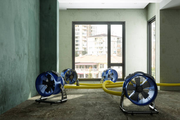 Best Water damage restoration near me  in Brodheadsville, PA